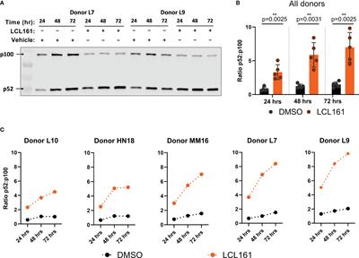 LCL161 enhances expansion and survival of engineered anti-tumor T cells but is restricted by death signaling
